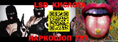 СК Новодвинск