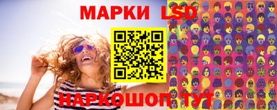 СК Новодвинск