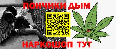 СК Новодвинск