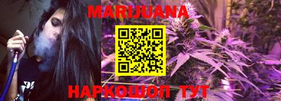 СК Новодвинск
