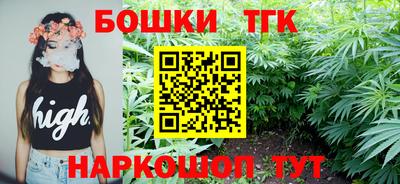 скорость Новозыбков