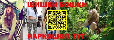 СК Новодвинск