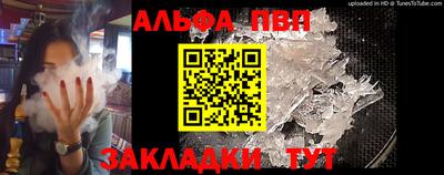 СК Новодвинск