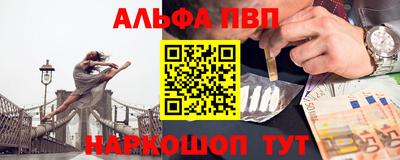 СК Новодвинск