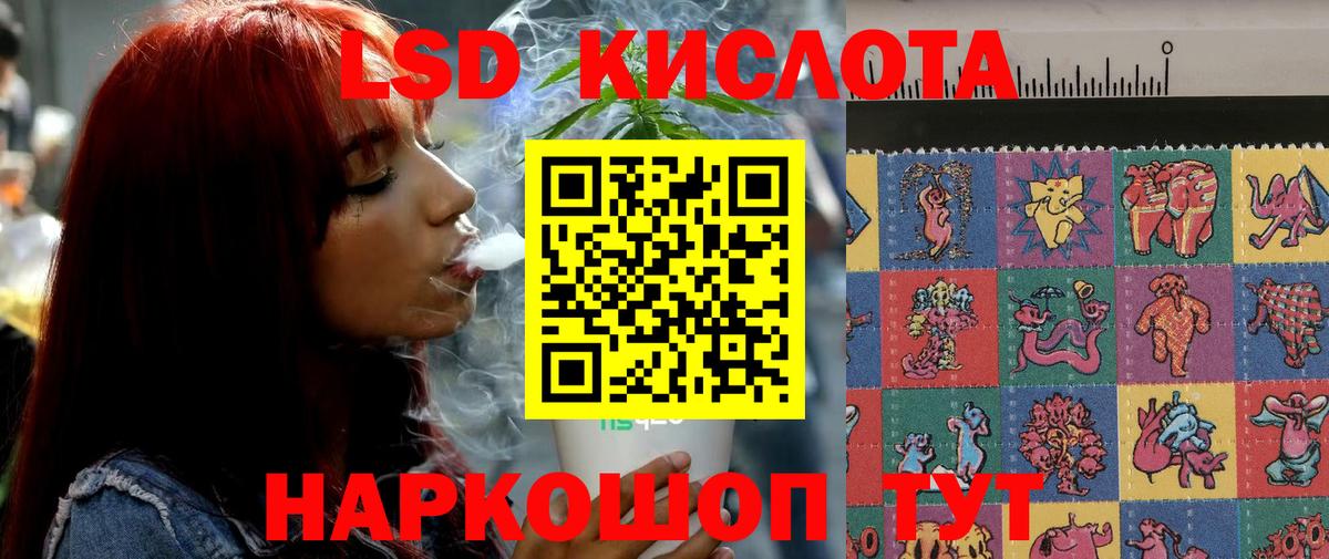 Codein Славгород