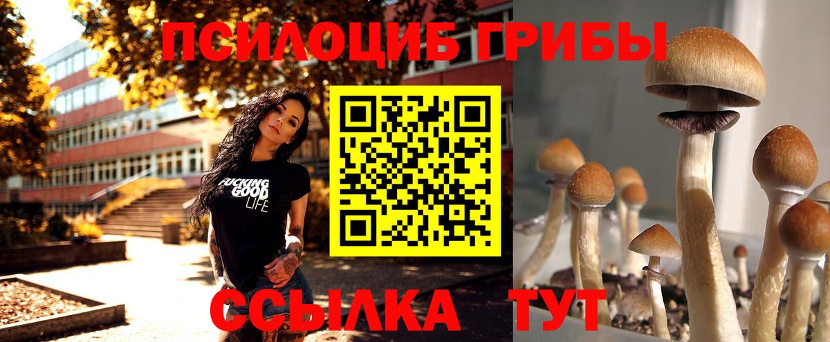 Псилоцибиновые грибы Cubensis  Вход с VPN  Славгород 
